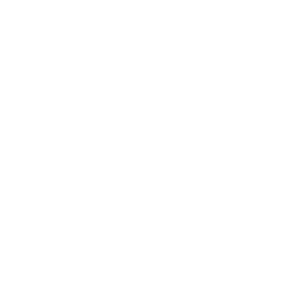 Cool Hunting logo